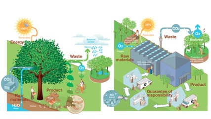廚房革命:污染、浪費大作戰