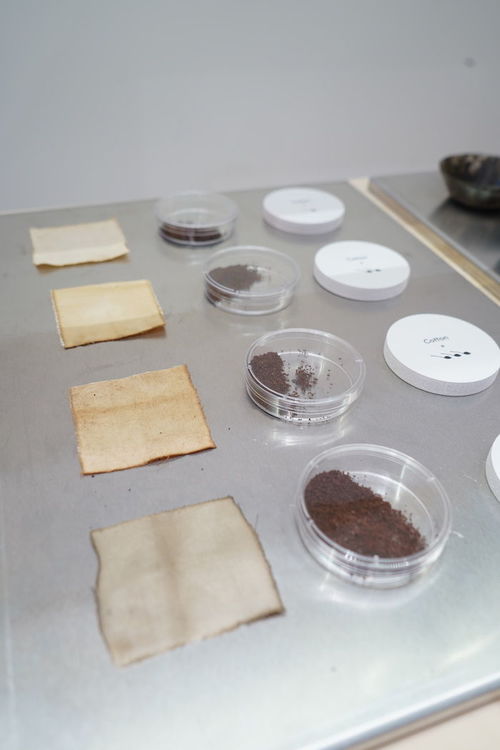 提高環保意識不只靠走塑 9件你意想不到的環保再生產品